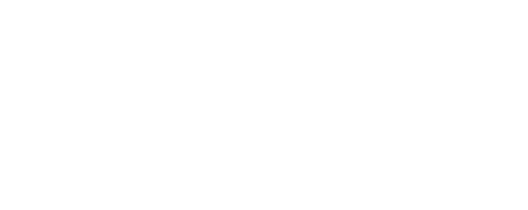 paragon airlines